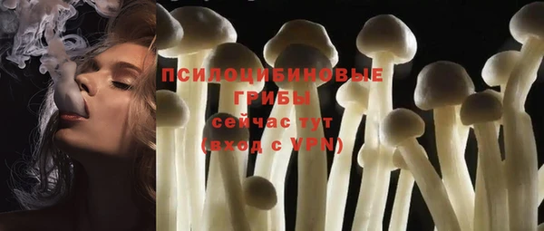 шишки Новодвинск