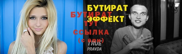 индика Няндома