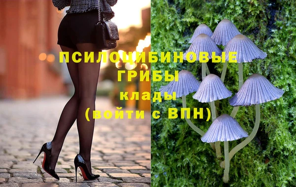метадон Алексин