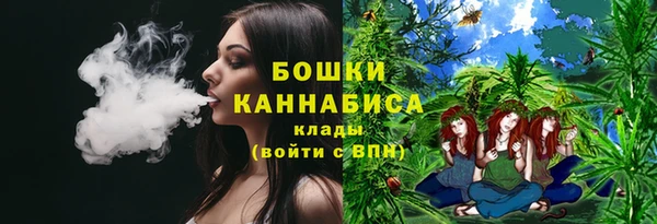 стаф Новозыбков