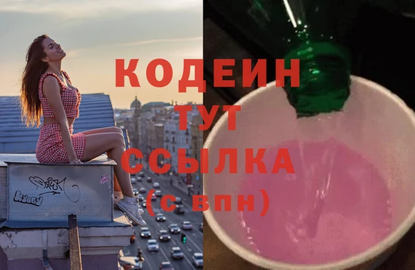 метадон Алексин